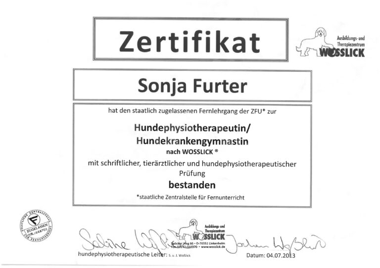Diplom Sonja